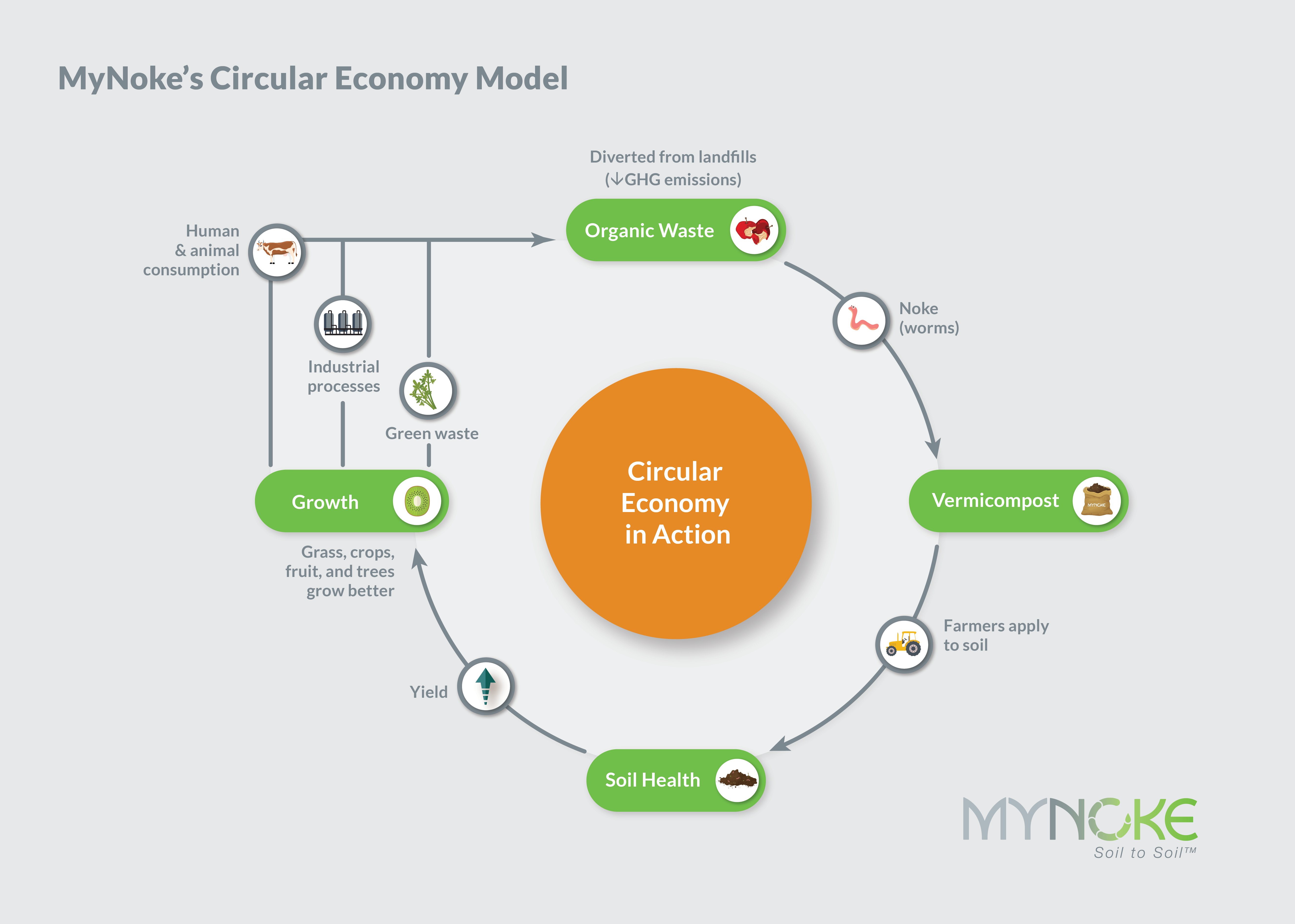 MyNoke's Circular Economy Model from organic waste to vermicompost to improved soil health and plant growth