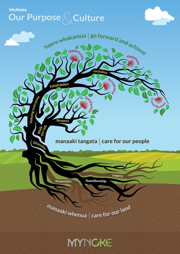 MyNoke organic vermicast purpose and culture diagram