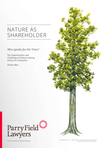 Nature as a shareholder visual