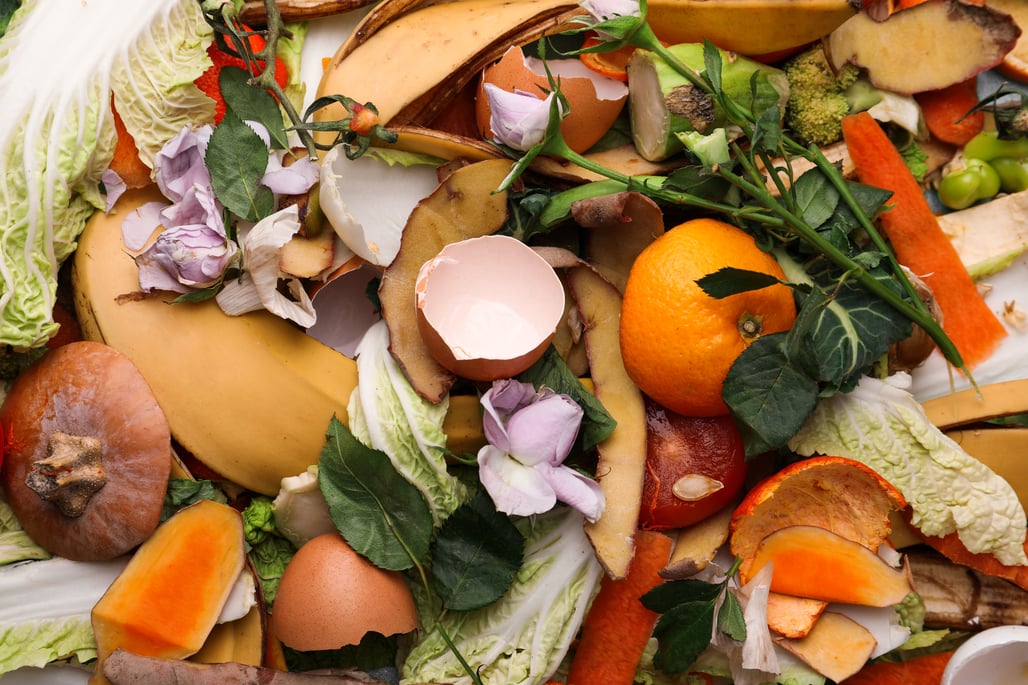 Organic food waste ready to go to the world's biggest worm farm in New Zealand - MyNoke