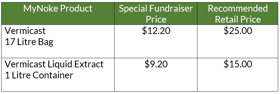 Website Pricing Table