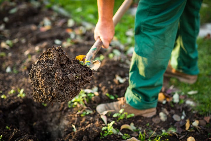 Improve soil health with vermicast