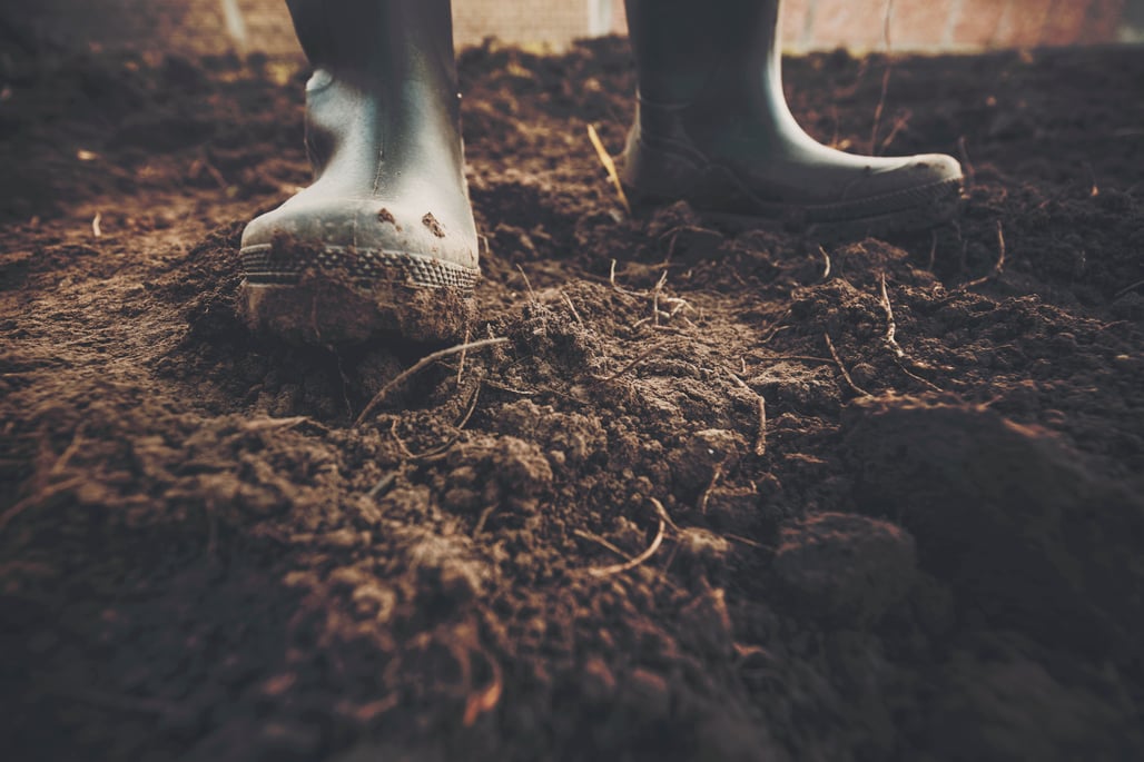 A farmer stands on healthy soil in gumboots